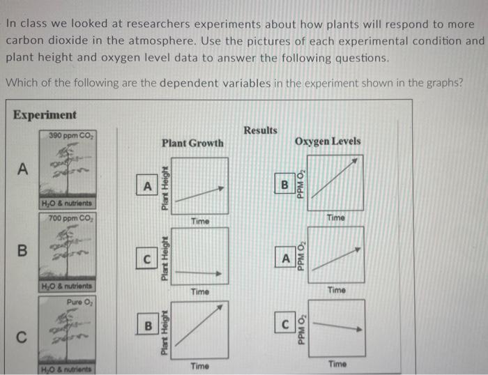 In Class We Looked At Researchers Experiments About How Plants Will Respond To More Carbon Dioxide In The Atmosphere Us 2