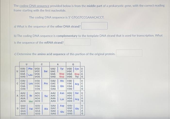 The Coding Dna Sequence Provided Below Is From The Middle Part Of A Prokaryotic Gene With The Correct Reading Frame Sta 1