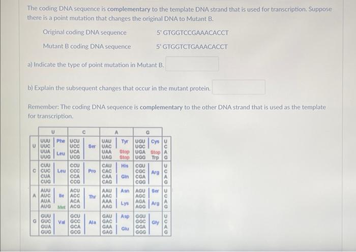 The Coding Dna Sequence Is Complementary To The Template Dna Strand That Is Used For Transcription Suppose There Is A P 1