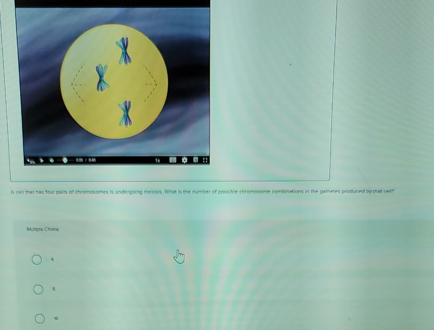 A Cell That Has Four Pairs Of Chromosomes Is Undergoing Meiosis What Is The Number Of Possible Chromosome Combinations 1