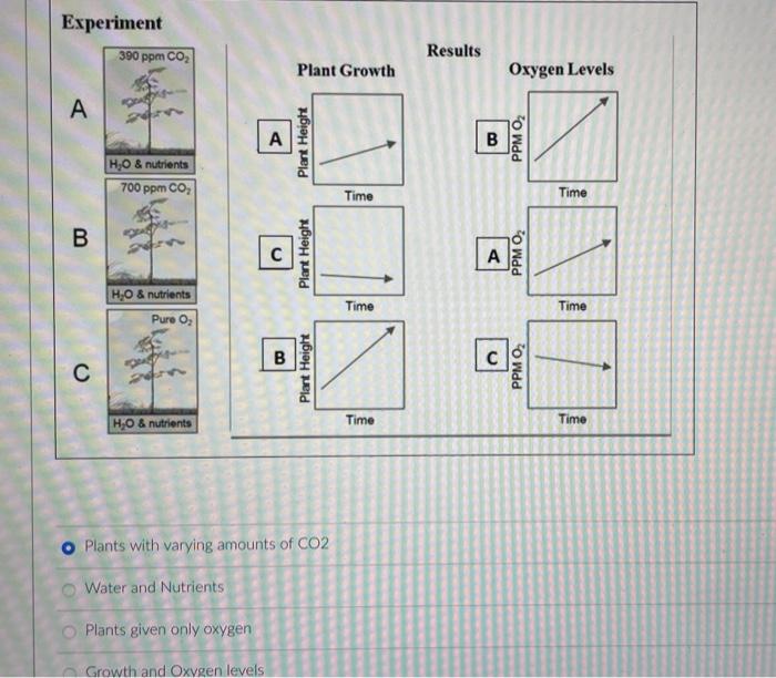 In Class We Looked At Researchers Experiments About How Plants Will Respond To More Carbon Dioxide In The Atmosphere Us 2