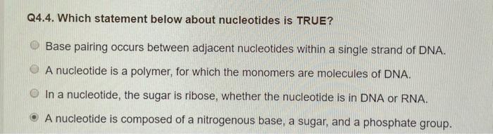 Q4 4 Which Statement Below About Nucleotides Is True A Base Pairing Occurs Between Adjacent Nucleotides Within A Singl 1