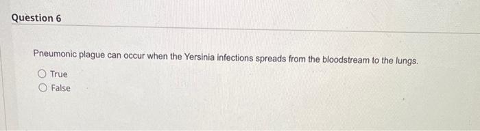 Question 6 Pneumonic Plague Can Occur When The Yersinia Infections Spreads From The Bloodstream To The Lungs True False 1