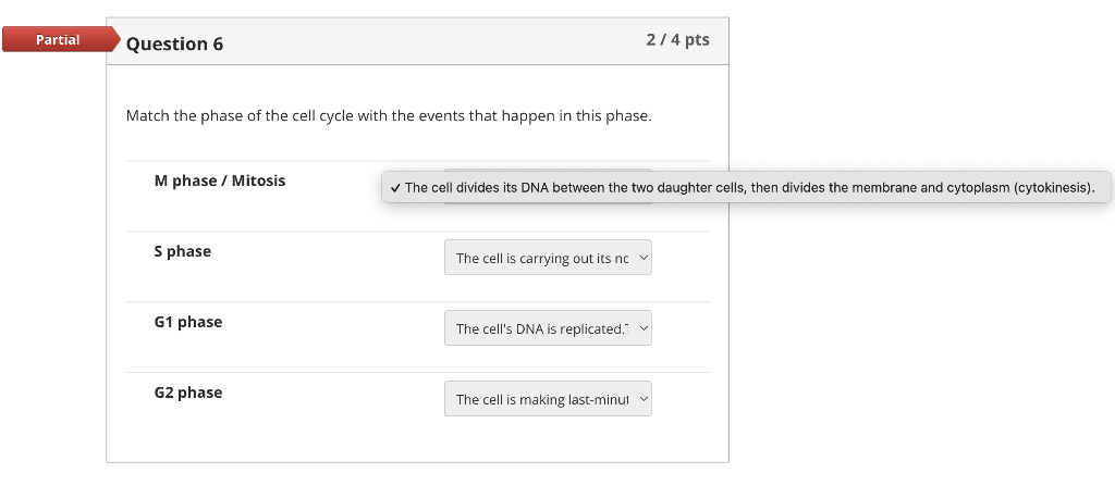 Partial Question 6 Match The Phase Of The Cell Cycle With The Events That Happen In This Phase M Phase Mitosis S Phas 1