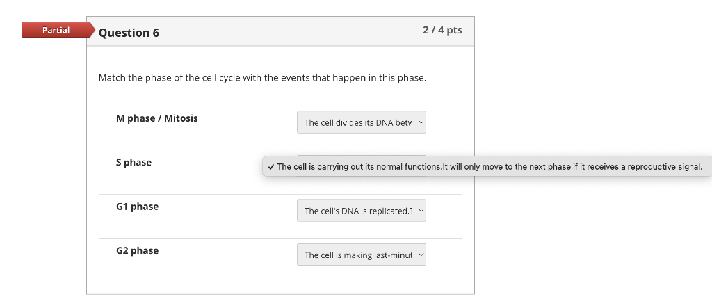 Partial Question 6 Match The Phase Of The Cell Cycle With The Events That Happen In This Phase M Phase Mitosis S Phas 2