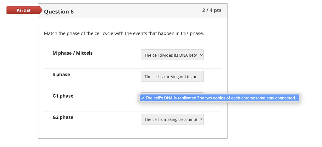 Partial Question 6 Match The Phase Of The Cell Cycle With The Events That Happen In This Phase M Phase Mitosis S Phas 3