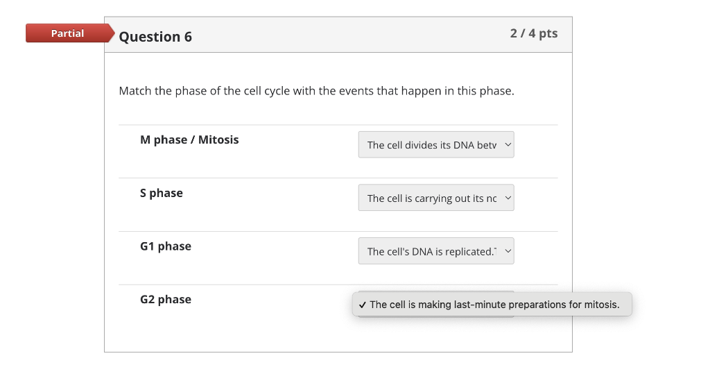 Partial Question 6 Match The Phase Of The Cell Cycle With The Events That Happen In This Phase M Phase Mitosis S Phas 4