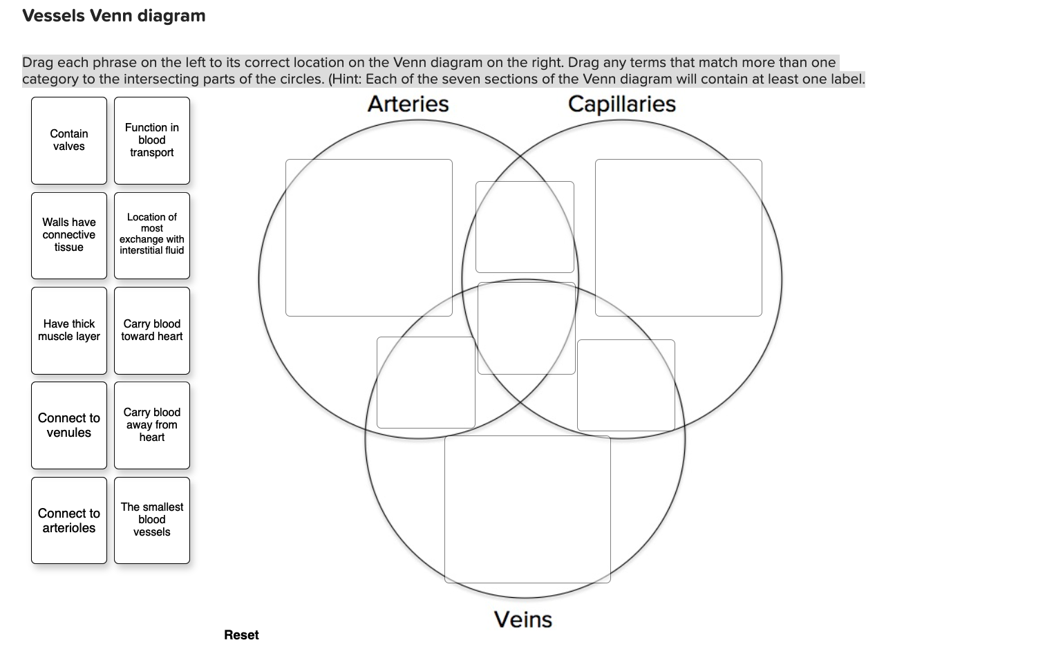 Vessels Venn Diagram Drag Each Phrase On The Left To Its Correct Location On The Venn Diagram On The Right Drag Any Ter 1