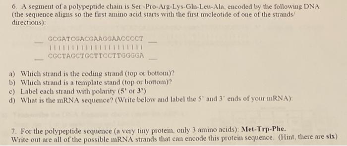 6 A Segment Of A Polypeptide Chain Is Ser Pro Arg Lys Gln Leu Ala Encoded By The Following Dna The Sequence Aligns S 1