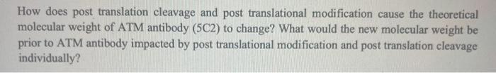 How Does Post Translation Cleavage And Post Translational Modification Cause The Theoretical Molecular Weight Of Atm Ant 1