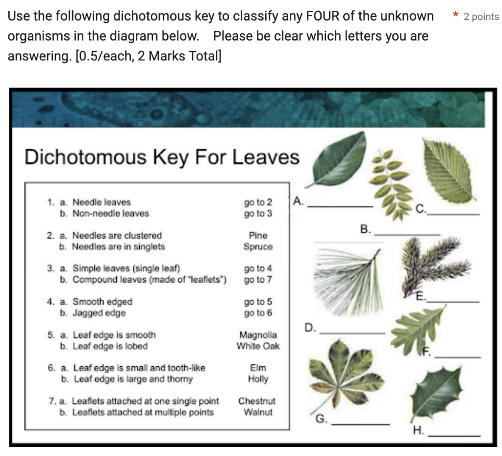 Use The Following Dichotomous Key To Classify Any Four Of The Unknown Organisms In The Diagram Below Please Be Clear Wh 1
