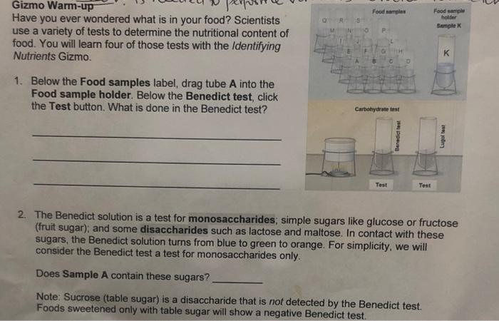 Gizmo Warm Up Have You Ever Wondered What Is In Your Food Scientists Use A Variety Of Tests To Determine The Nutritiona 1
