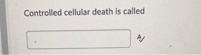 Abnormal Cells Have Not Yet Left Tissue Of Origin Or Breached Basal Lamina No Metastatic Potential May Never Become 3