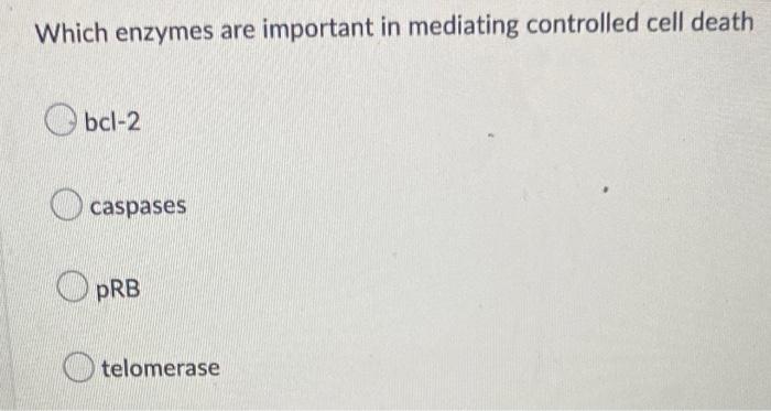Normal Cells Have A Finite Replicative Potential This Is Called The A Inflammation Is Not Important In Tumor Developme 3