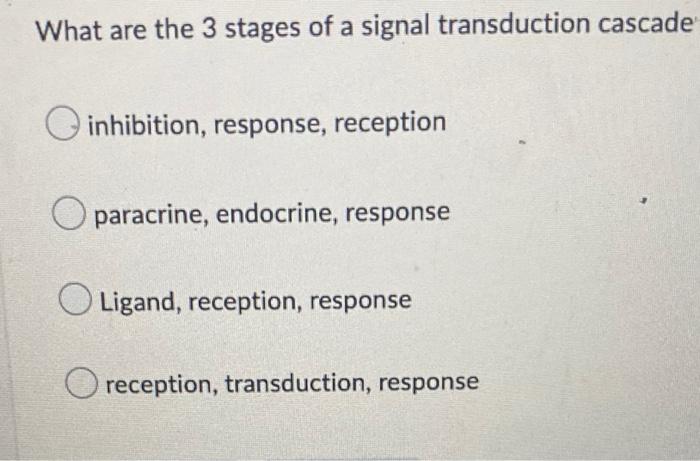 Normal Cells Have A Finite Replicative Potential This Is Called The A Inflammation Is Not Important In Tumor Developme 4