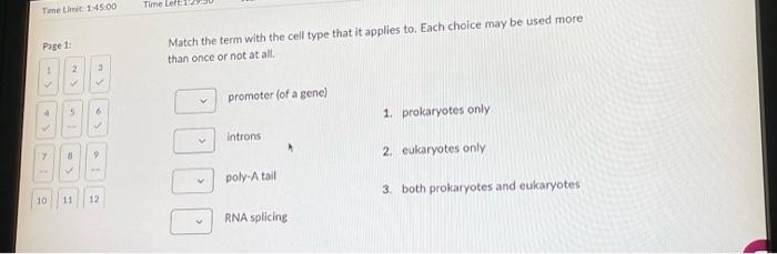 Time Limit 1 45 00 Page 1 4 10 2 3 Sn 5 8 11 9 12 Time Lett1 Match The Term With The Cell Type That It Applies T 2