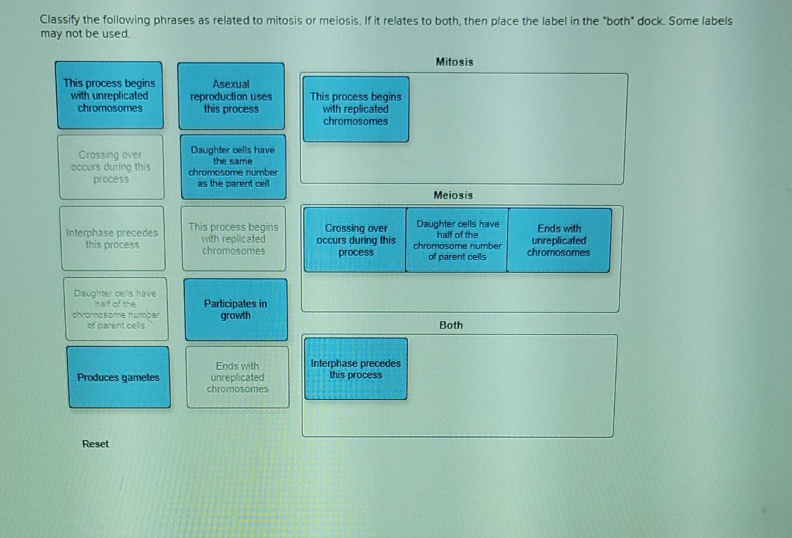 Classify The Following Phrases As Related To Mitosis Or Meiosis If It Relates To Both Then Place The Label In The Bot 1