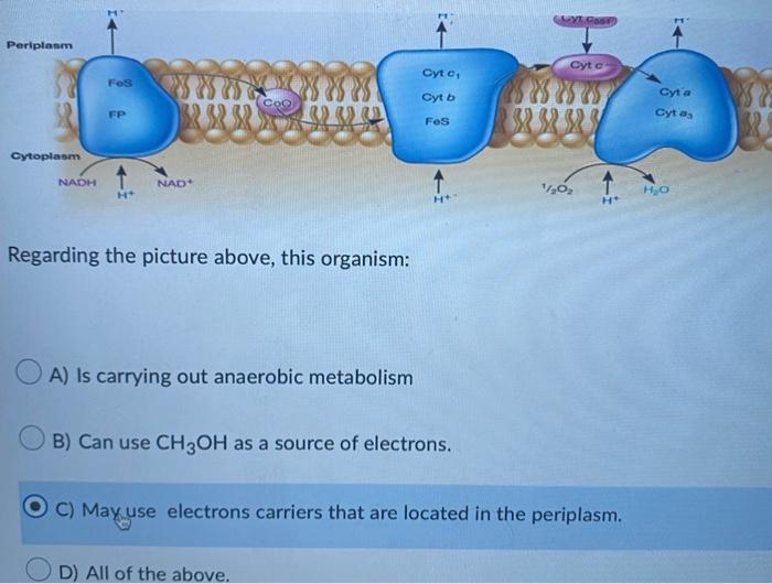 Periplasm 581 Cytoplasm Nadh Fos Fp H Nad Regarding The Picture Above This Organism A Is Carrying Out Anaerobic Meta 1