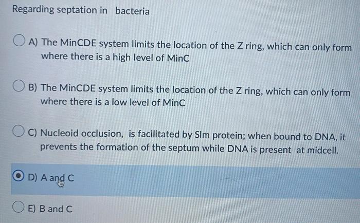 Regarding Septation In Bacteria A The Mincde System Limits The Location Of The Z Ring Which Can Only Form Where There 1