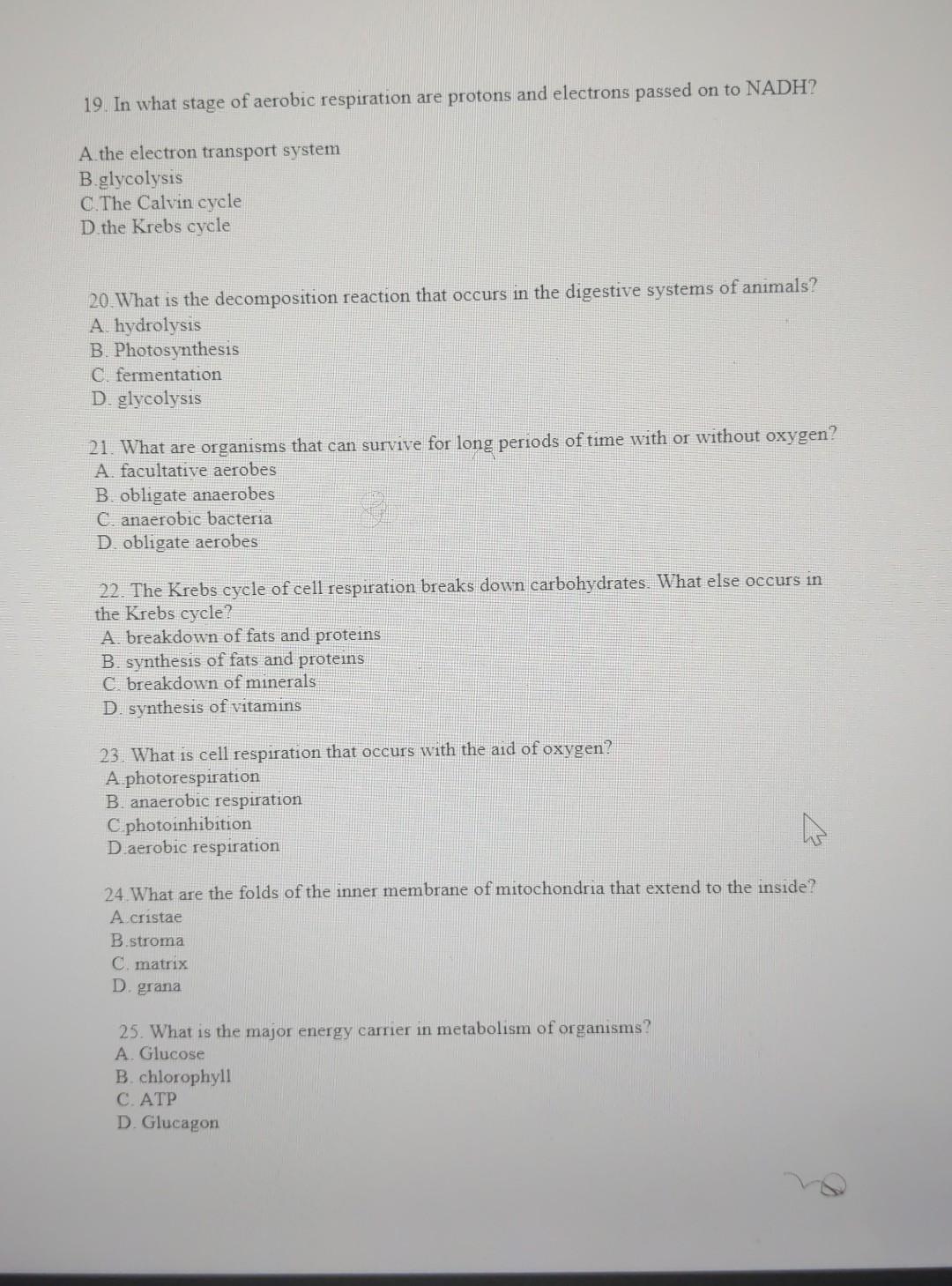 E None Of The Above 13 What Is The Net Gain In Atp Molecules Produced During The Reactions Of Glycolysis Under Anaero 2