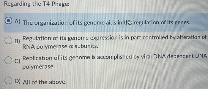 Regarding The T4 Phage A The Organization Of Its Genome Aids In The Regulation Of Its Genes B Regulation Of Its Geno 1