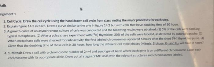 Tails Signment 1 1 Cell Cycle Draw The Cell Cycle Using The Hand Drawn Cell Cycle From Class Noting The Major Processe 1