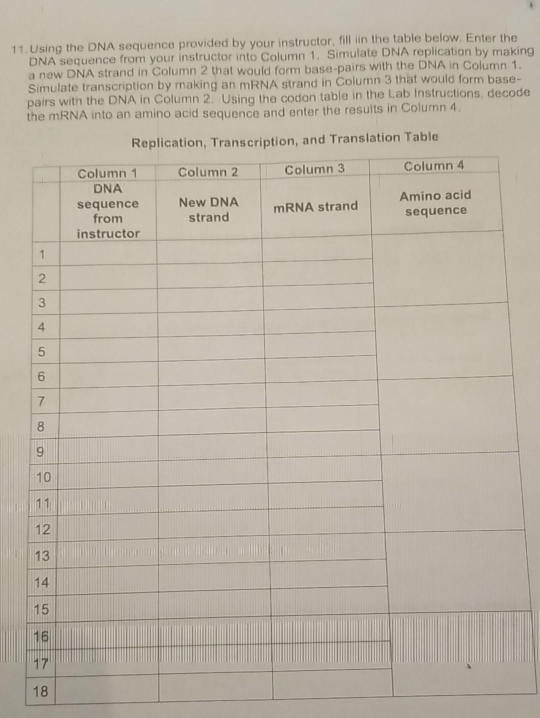 11 Using The Dna Sequence Provided By Your Instructor Fill In The Table Below Enter The Dna Sequence From Your Instru 1