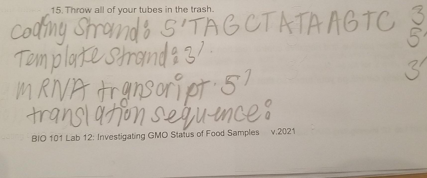 11 Using The Dna Sequence Provided By Your Instructor Fill In The Table Below Enter The Dna Sequence From Your Instru 2