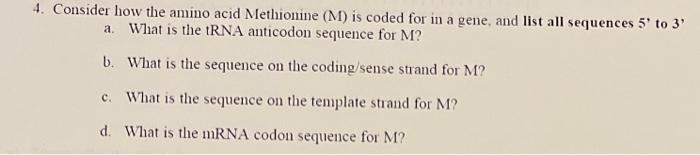4 Consider How The Amino Acid Methionine M Is Coded For In A Gene And List All Sequences 5 To 3 A What Is The Trn 1