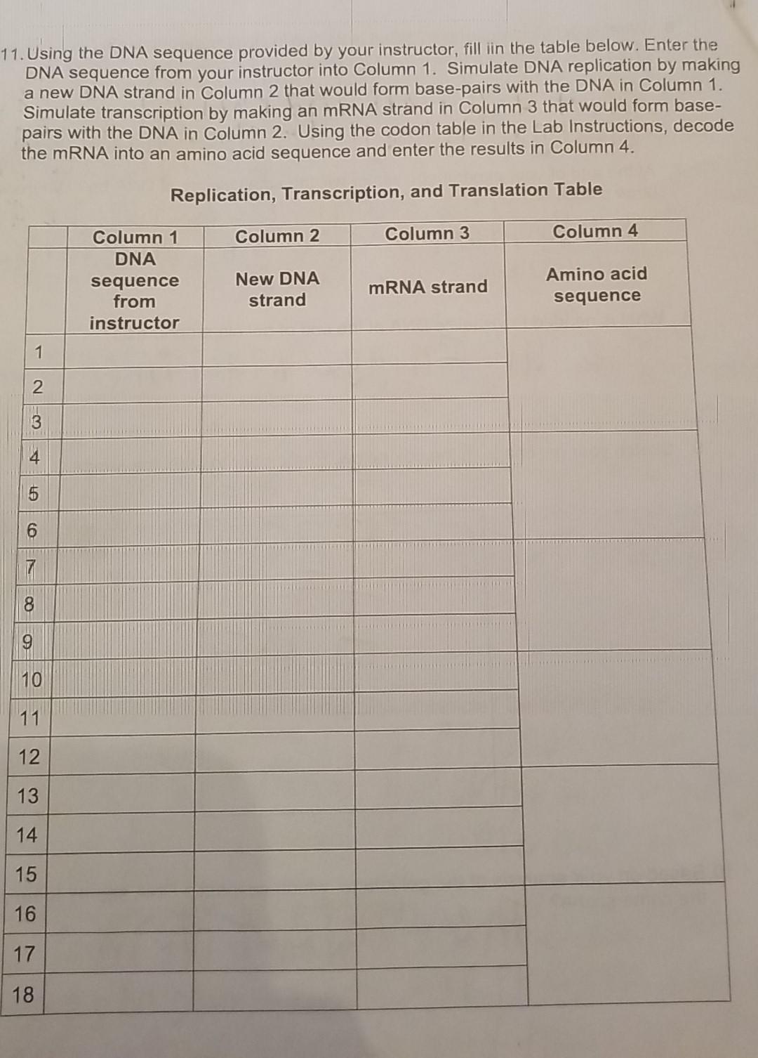 Transcription And Translation 1 Obtain A Dna Sequence From Your Instructor 2 Copy Each Base From The Sequence Into Co 2