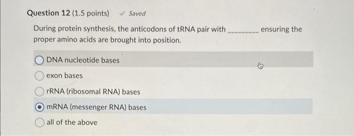 Question 12 1 5 Points During Protein Synthesis The Anticodons Of Trna Pair With Proper Amino Acids Are Brought Into 1