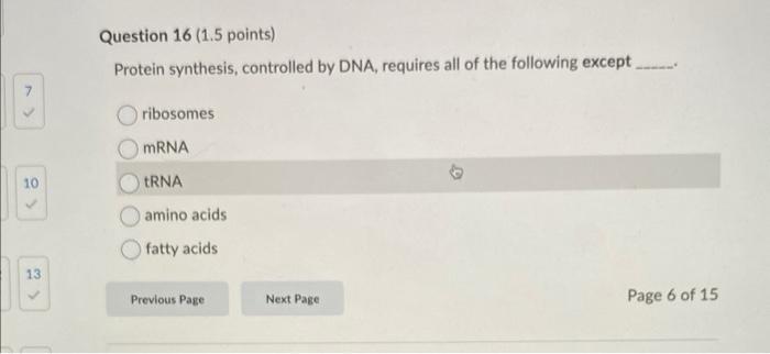 10 13 Question 16 1 5 Points Protein Synthesis Controlled By Dna Requires All Of The Following Except Ribosomes Mrn 1
