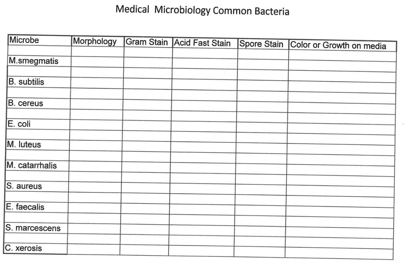 Microbe M Smegmatis B Subtilis B Cereus E Coli M Luteus M Catarrhalis S Aureus E Faecalis S Marcescens C Xerosi 1
