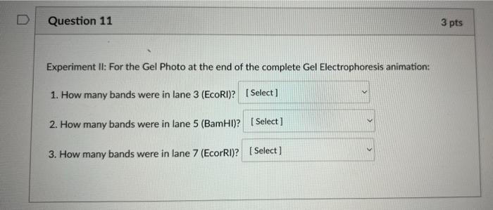1 How Many Bands Were In Lane 3 Ecori 2 How Many Bands Were In Lane 5 Bamhi 3 How Many Bands Were In Lane 7 Ec 1