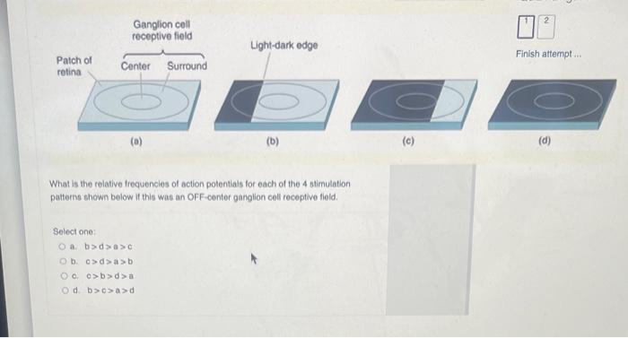 What Is The Relative Frequencles Of Action Potentials For Each Of The 4 Atimulation Paterme Shown Bolow If This Was An O 1