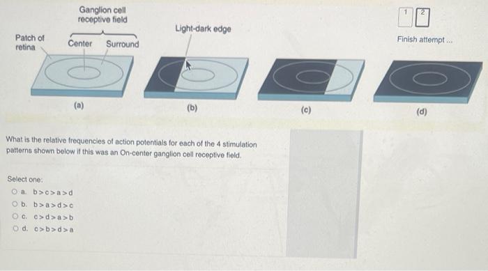 What Is The Relative Frequencies Of Action Potentials For Each Of The 4 Stimulation Patterns Shown Below If This Was An 1