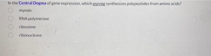In The Central Dogma Of Gene Expression Which Enzyme Synthesizes Polypeptides From Amino Acids Myosin Rna Polymerase R 1
