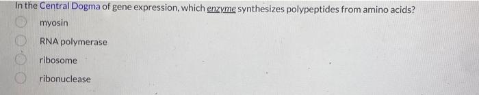 In The Central Dogma Of Gene Expression Which Enzyme Synthesizes Polypeptides From Amino Acids Myosin Rna Polymerase R 2