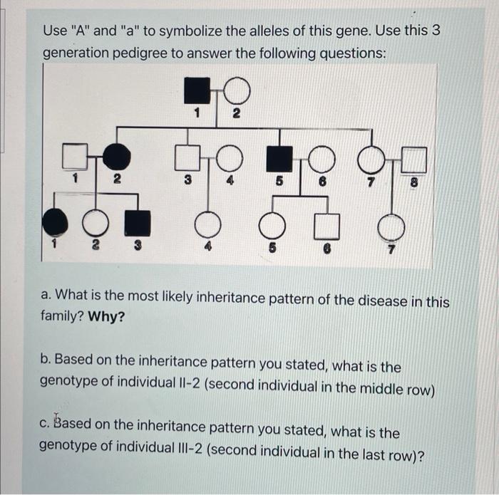 Use A And A To Symbolize The Alleles Of This Gene Use This 3 Generation Pedigree To Answer The Following Questions 1