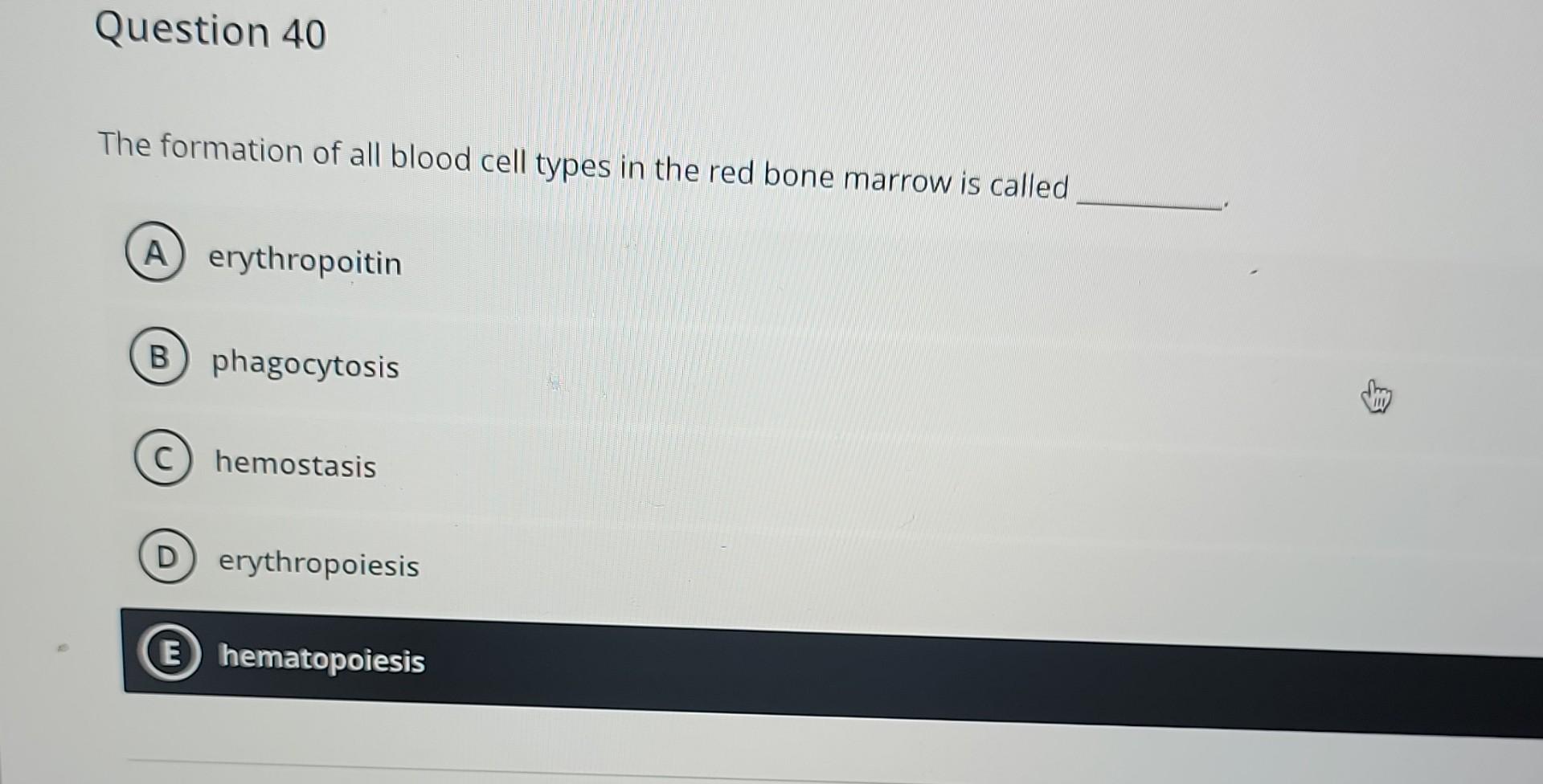 Question 40 The Formation Of All Blood Cell Types In The Red Bone Marrow Is Called A Erythropoitin B Phagocytosis Chem 1