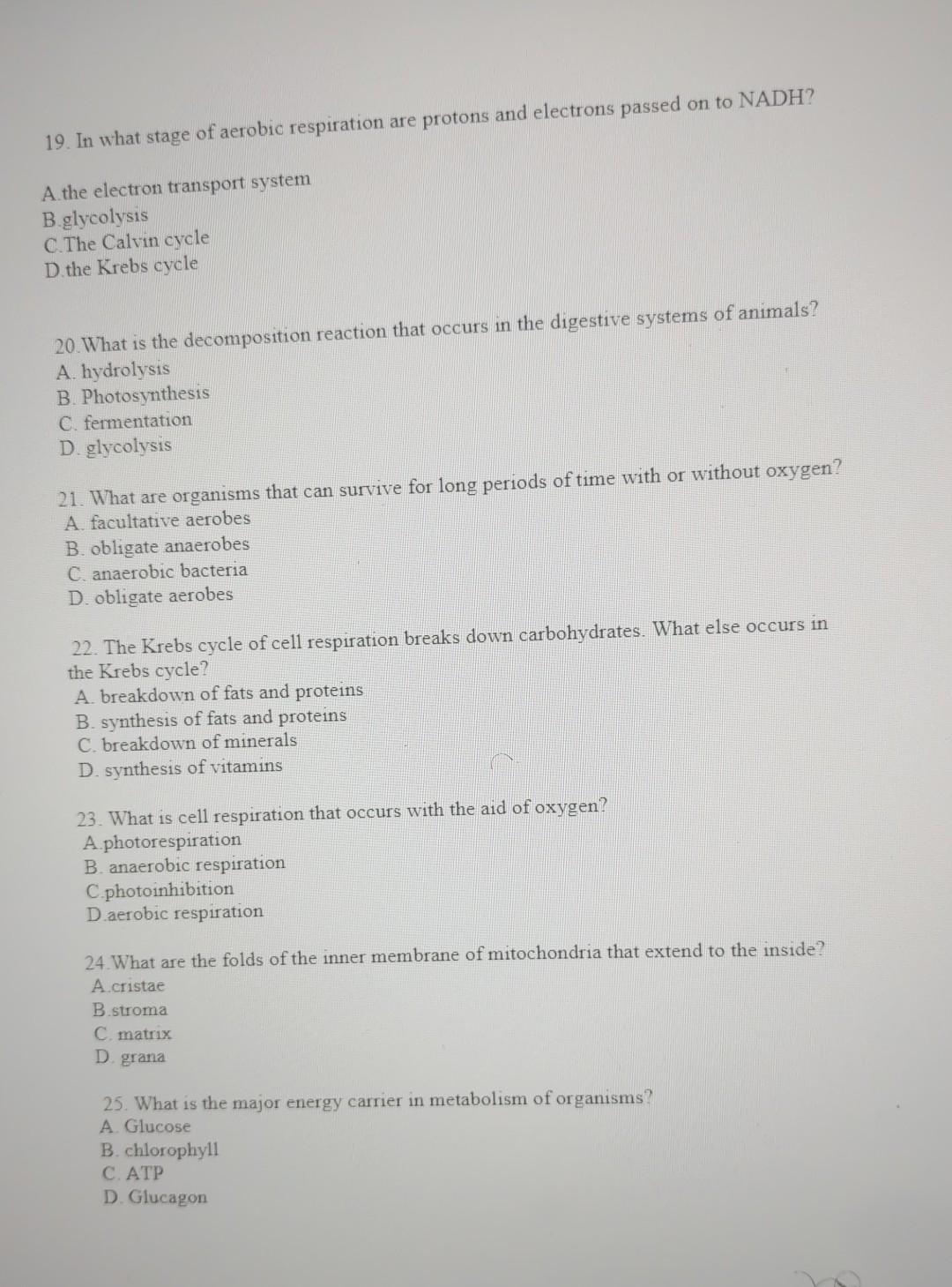 19 In What Stage Of Aerobic Respiration Are Protons And Electrons Passed On To Nadh A The Electron Transport System B 1