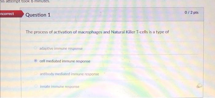 The Process Of Activation Of Macrophages And Natural Killer T Cells Is A Type Of Adaptive Immune Response Cell Mediated 1