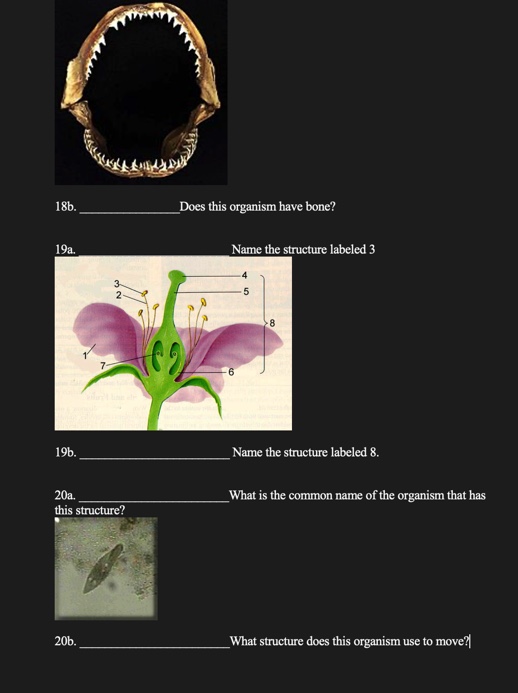 18b Does This Organism Have Bone 19a Name The Structure Labeled 3 19 B Name The Structure Labeled 8 20a What Is T 1
