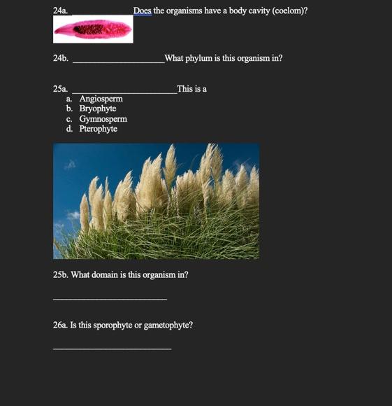 24a 24b 25a A Angiosperm B Bryophyte C Gymnosperm D Pterophyte Does The Organisms Have A Body Cavity Coelom Wh 1