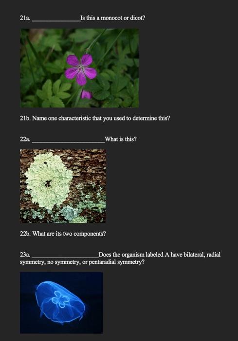21a Is This A Monocot Or Dicot 21b Name One Characteristic That You Used To Determine This 22a What Is This 22b W 1