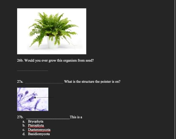 26b Would You Ever Grow This Organism From Seed 27a 27b A Bryophyta B Pterophyta C Dueteromycota D Basidiomycota 1