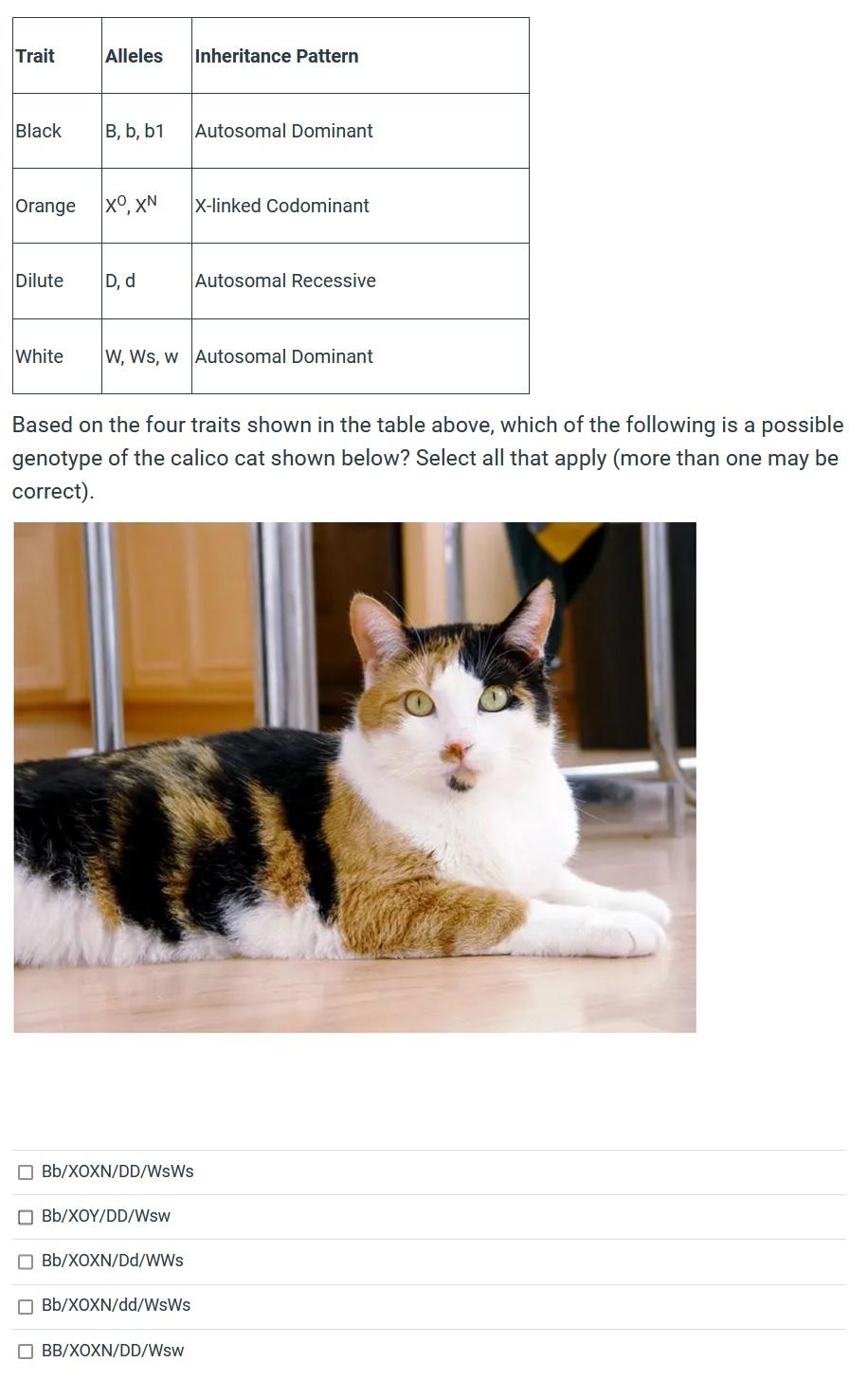 Based On The Four Traits Shown In The Table Above Which Of The Following Is A Possible Genotype Of The Calico Cat Shown 1