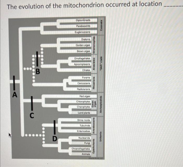 Which Of These Organisms Produces An Embryo Stage As Part Of Its Life Cycle A B Which Of These Specimens Moves With Ps 3