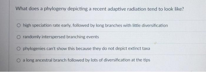 What Does A Phylogeny Depicting A Recent Adaptive Radiation Tend To Look Like High Speciation Rate Early Followed By L 1
