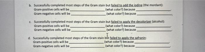 B Successfully Completed Most Steps Of The Gram Stain But Failed To Add The Iodine The Mordant Gram Positive Cells W 1